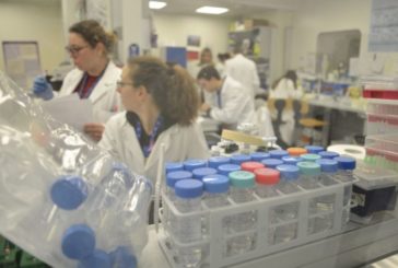 Coronavirus, Spallanzani: "Si aggravano coniugi cinesi"