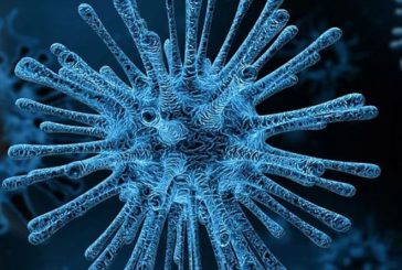 Coronavirus, e' emiliano il primo italiano contagiato