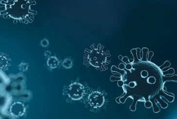 Coronavirus, Niccolo' negativo al test