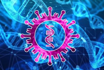 Coronavirus, due casi anche nel Padovano. Zaia: "Misure rigorose"