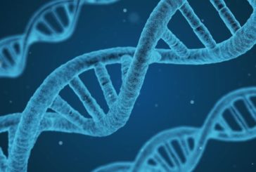 Salute, Ordine biologi e Sigu dicono no a test genetici nelle farmacie