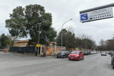 Coronavirus, donna cinese allo Spallanzani in netto miglioramento