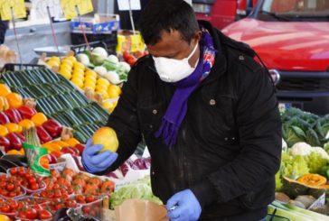 Coronavirus, il Tar sospende l'ordinanza della Regione Marche