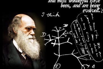 L’Università di Siena partecipa al Darwin Day 2020