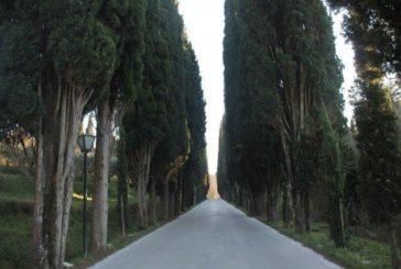 Il Viale della Rimembranza sbiadita a San Biagio di Montepulciano