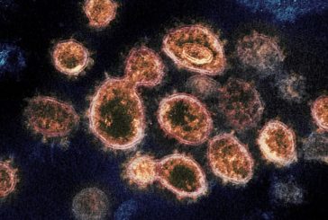 Coronavirus, in ginocchio il comparto allestimento fiere ed eventi