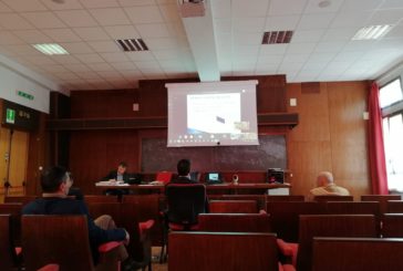 Coronavirus, Universita' di Palermo proclama i primi dottori "a distanza"