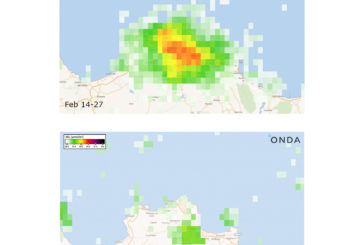 Coronavirus, lo smartworking ripulisce l'aria di Palermo