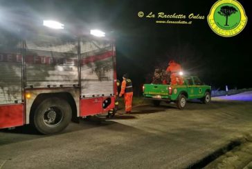 A fuoco una catasta di legno a Monticchiello: intervento di pompieri e la Racchetta