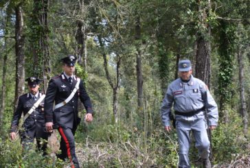 I Carabinieri denunciano 28 trasgressori