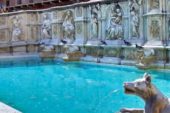 Cappella di Piazza e Fonte Gaia illuminate di giallo per Siena Awards