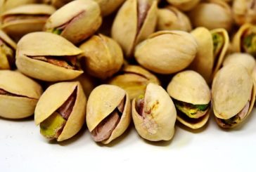 Uno studio USA: i pistacchi tostati sono una proteina completa