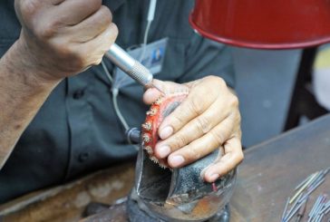 Irfis, gia' liberati 100 mln di liquidita' per le imprese siciliane