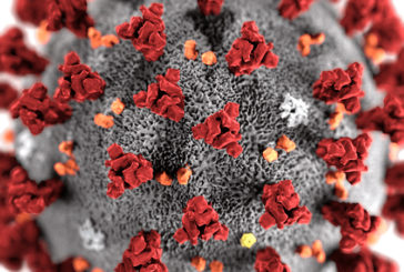 Coronavirus, le acque di scarico possono essere indicatore di focolai