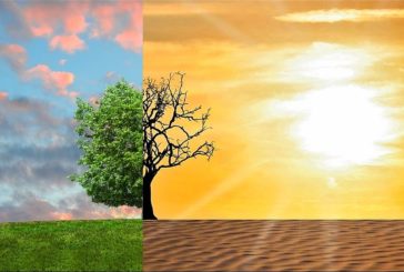 Earth Day, da P&G "Storie di Cittadinanza d'Impresa 2019"