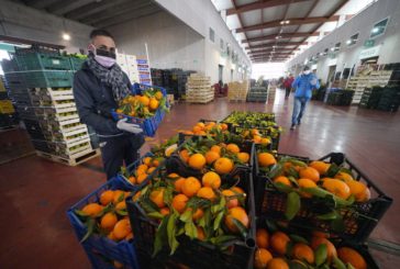 Coronavirus, l'agroalimentare italiano chiede di rafforzare la PAC