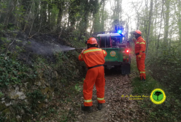 Incendio boschivo a Cetona: interviene La Racchetta