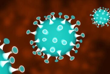 Coronavirus, nasce il super archivio dei pazienti