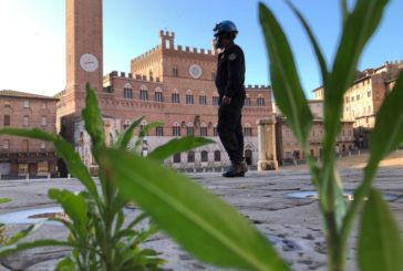 Carabinieri: “Curiose domande al 112 durante il lockdown”