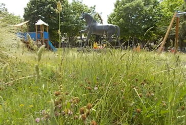 Villa a Sesta: tutto andrà bene. Meglio, se arriva il decespugliatore…