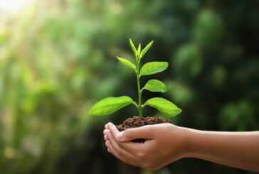 Snam – Con CDP pianterà 3 milioni di alberi al 2030 per contrastare i cambiamenti climatici