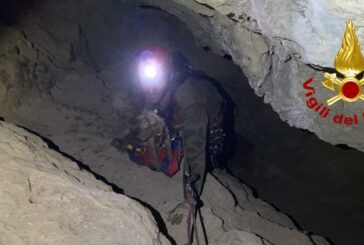 Cane finisce in un dirupo: salvato dai pompieri