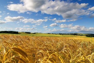 Bf Holding – Diventa titolare del 37% di Consorzi Agrari d’Italia