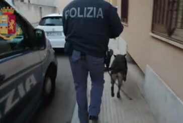 Blitz antimafia nel feudo del boss Messina Denaro