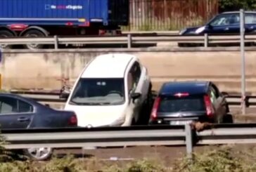 La distruzione a Palermo il giorno dopo il nubifragio