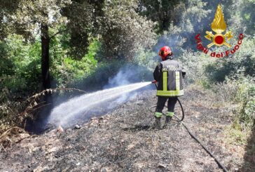 Capanni agricoli a fuoco a Monticiano