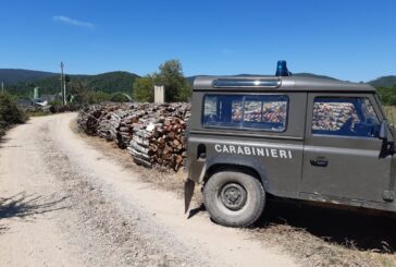 I Carabinieri Forestali sequestrano 3mila quintali di legname
