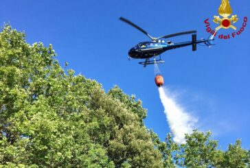 Casole d’Elsa: incendio boschivo a Mensano