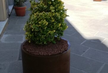 Arredi urbani a Poggibonsi, posizionate le fioriere in centro