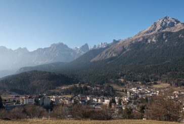 Trentino, catturato orso dopo l'aggressione a un carabiniere