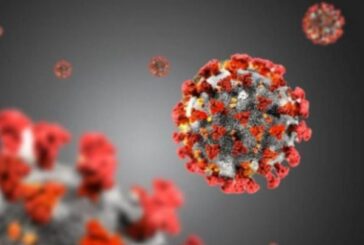 Coronavirus, al via allo Spallanzani test vaccino sull'uomo