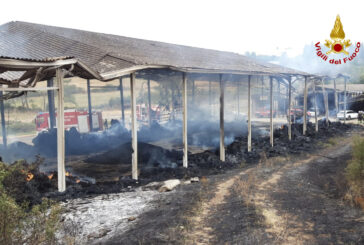 Incendio a Suvignano: la procura apre un fascicolo