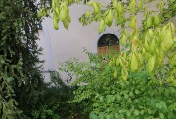 Buonconvento: tristi le condizioni della Cassia e dell’ex Caserma dei carabinieri