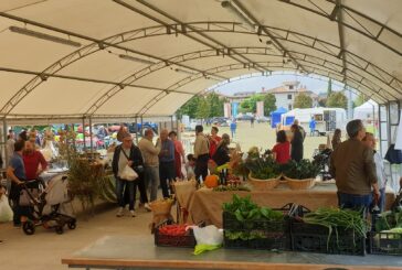 A Torrita di Siena non si svolgerà l’edizione 2020  della Fiera al Piano