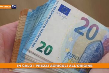 In calo i prezzi agricoli all’origine