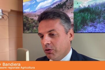 Agricoltura, Sicilia prima per giovani imprenditori Under 35