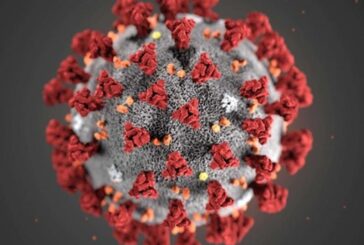 Coronavirus, Crisanti "Non credo nel vaccino entro fine anno"