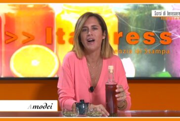 Sorsi di Benessere – Come fare un decotto con le foglie d’ulivo