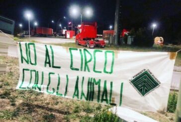 Foresta che avanza: “No al circo con gli animali”