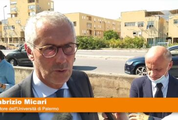 Palermo, trenta alberi per riqualificare lo Zen 2