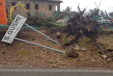 Castelnuovo: il Comune ringrazia chi ha lavorato nell’emergenza maltempo