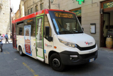 Il gruppo consiliare Pd chiede il ripristino del pollicino