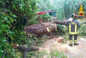 Fiumi esondati in Valle d'Aosta, Vvf volontario muore per crollo albero