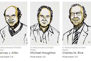 Il Nobel per la Medicina a tre virologi per studi sull'Epatite C