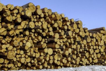 Federlegnoarredo, filiera al top in Europa per sostenibilità