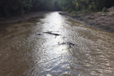 Consorzio di bonifica 6 Toscana Sud fa manutenzione sulle sponde del Merse